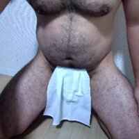 secretbearjp