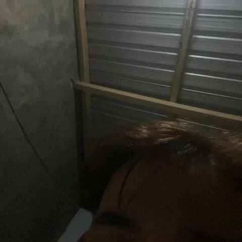 rendhy212