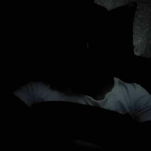 iglu_21