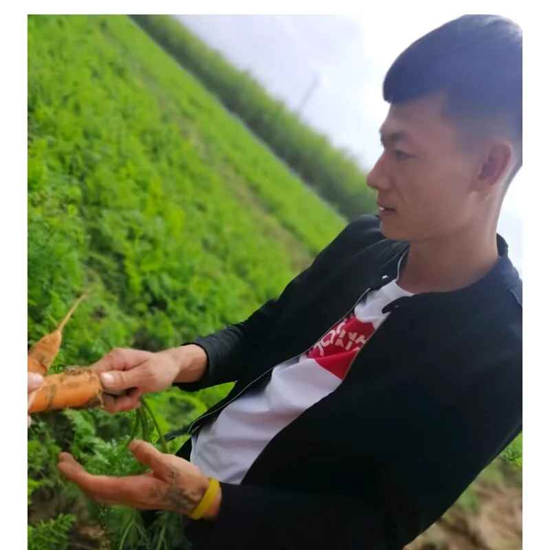 Xpj123