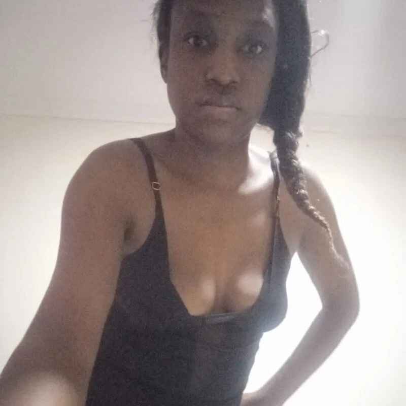 savannah_syn