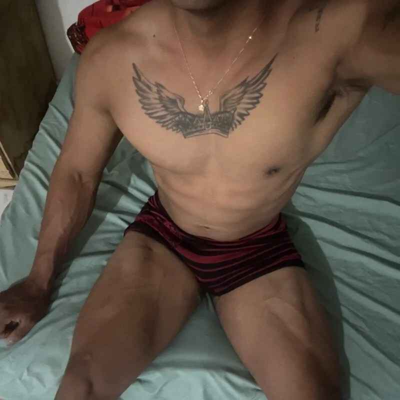 gatoGc