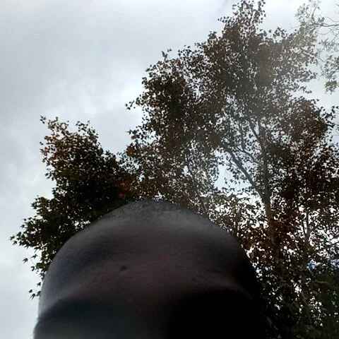 kamogelomonama