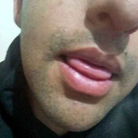 Andressshgff