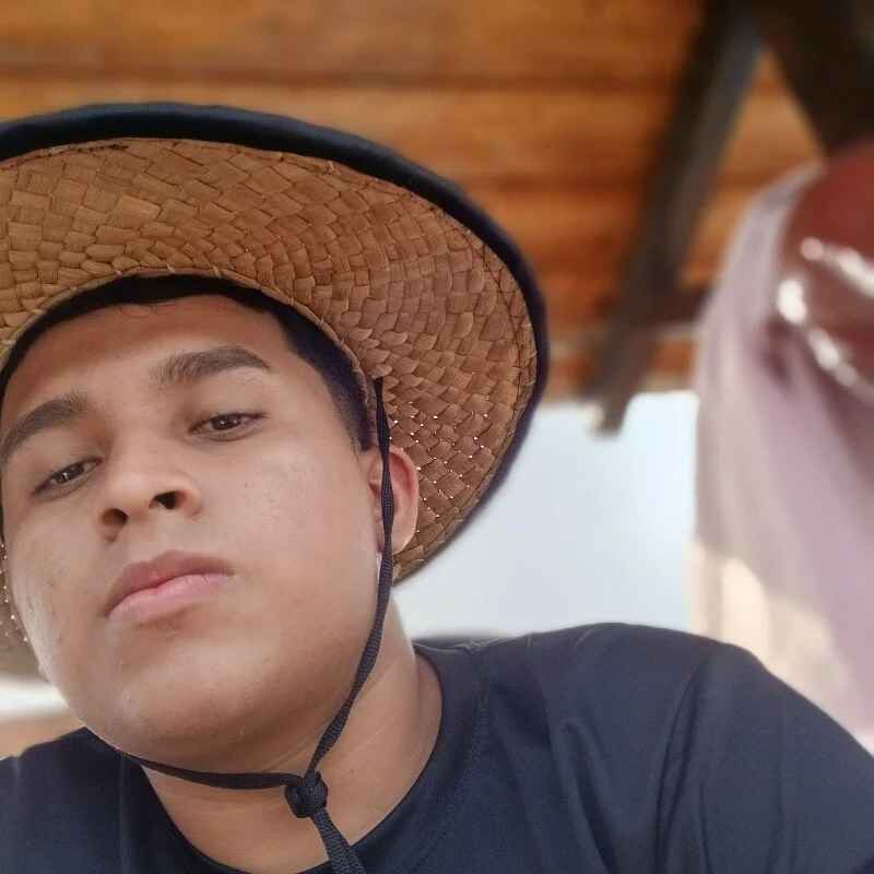 alee28728