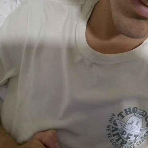 alv088