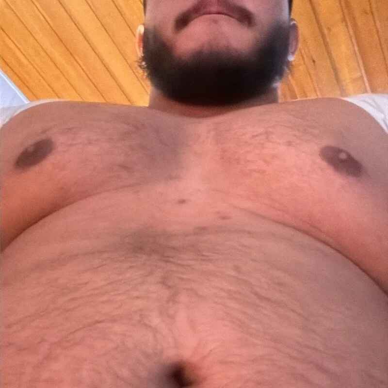 theusxbear