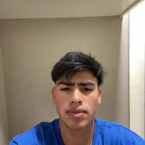 Pitoloco_0