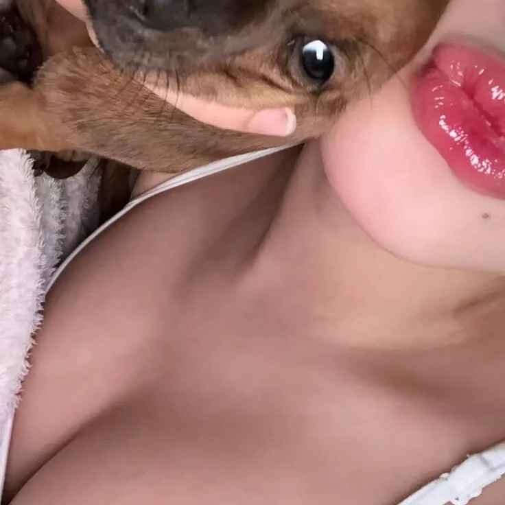 pussyownerr