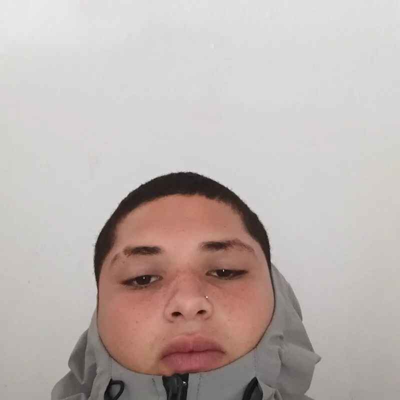 El_cachorro664