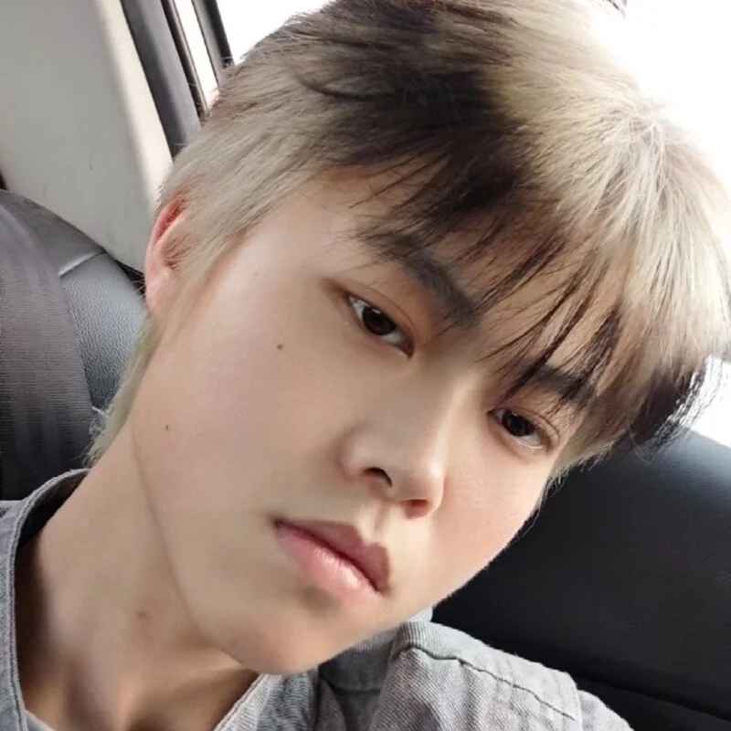 aliang529