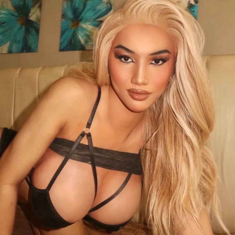 AliceSTAR_247