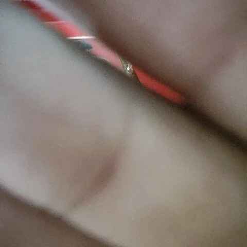 Gunjan_