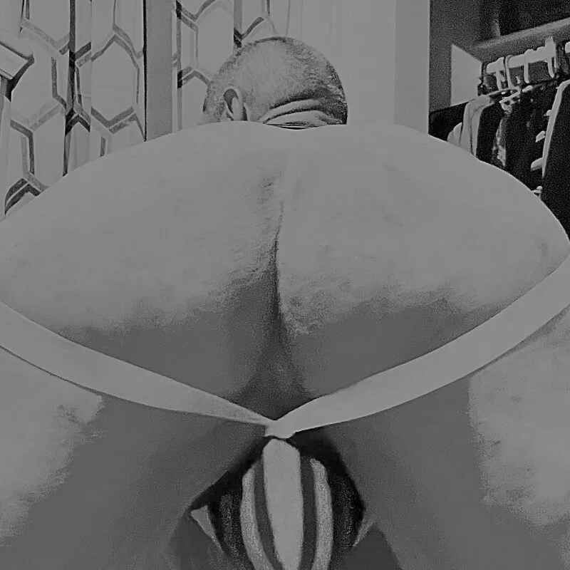 NiftyCaptain3