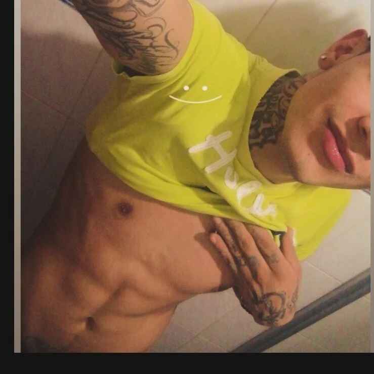 SoloH26