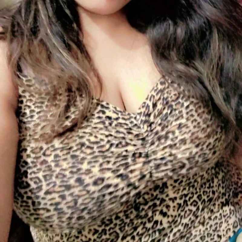junglibilli_punjab