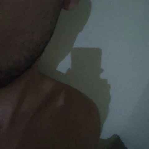 1p4ulxpaulo