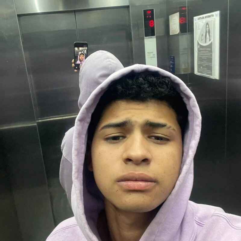 lolo_pollas