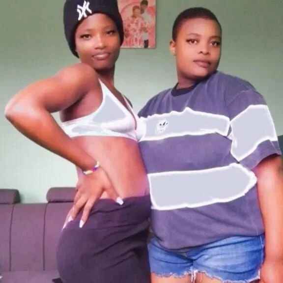 Brawn_couple