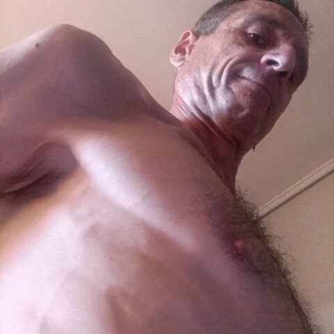 ALveRT_75