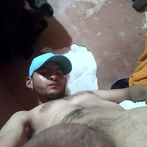 Pitobravo123