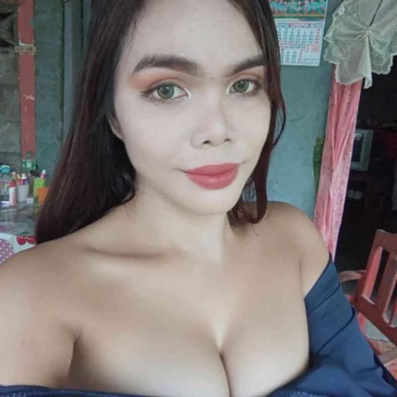 yolly_fox