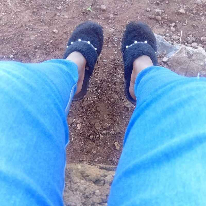 Omphilesoa