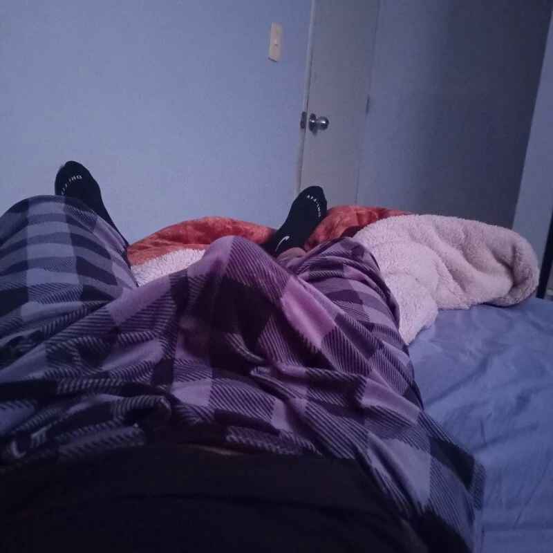 cachorrosexmex