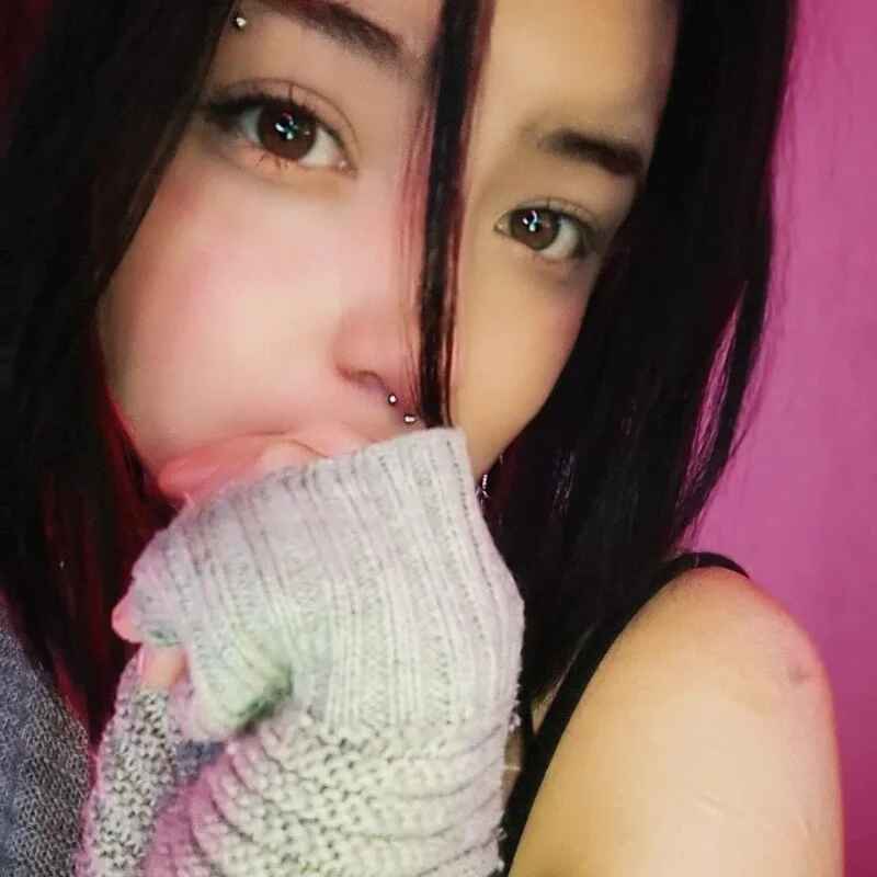 lsa_dolly_nyx