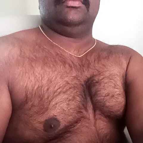 indianbearbot