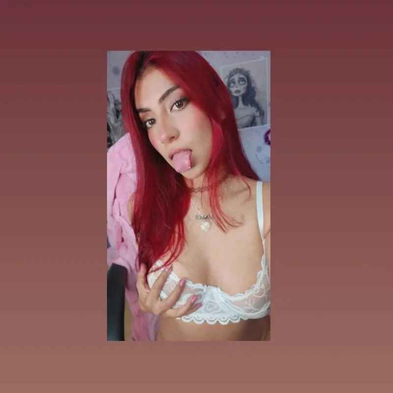 Medussa_katt