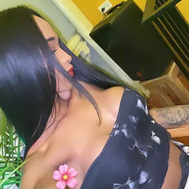 TracySugar