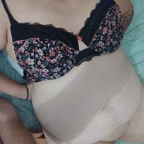 petit_chatte