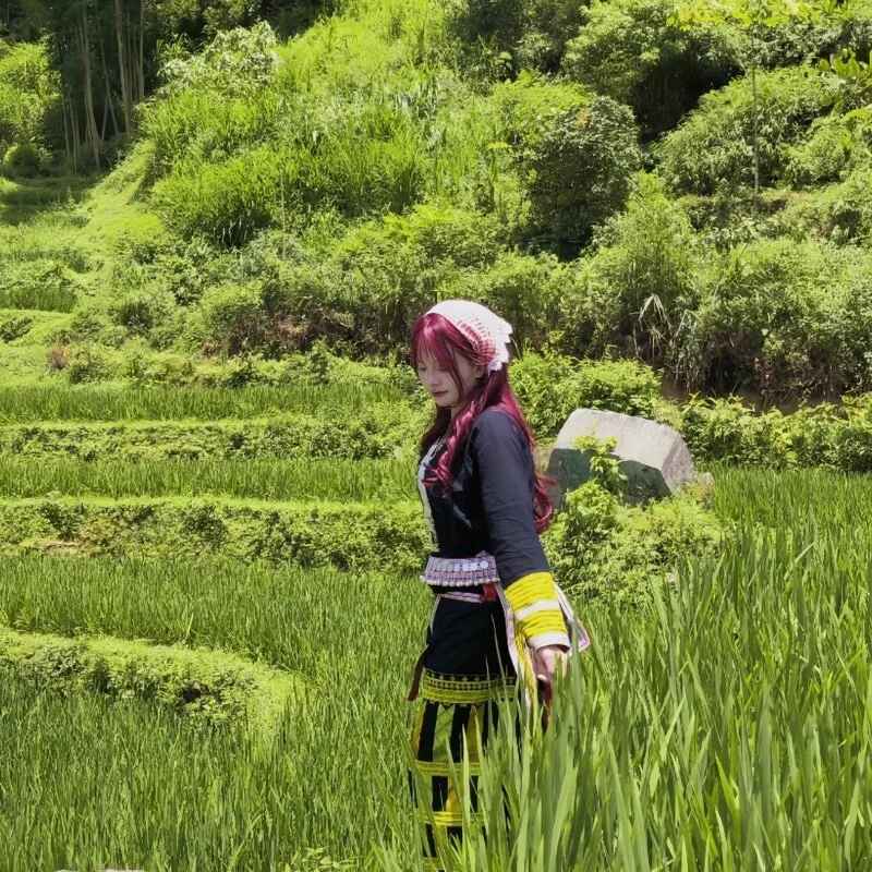 banlinh004
