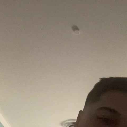 chubbybear88