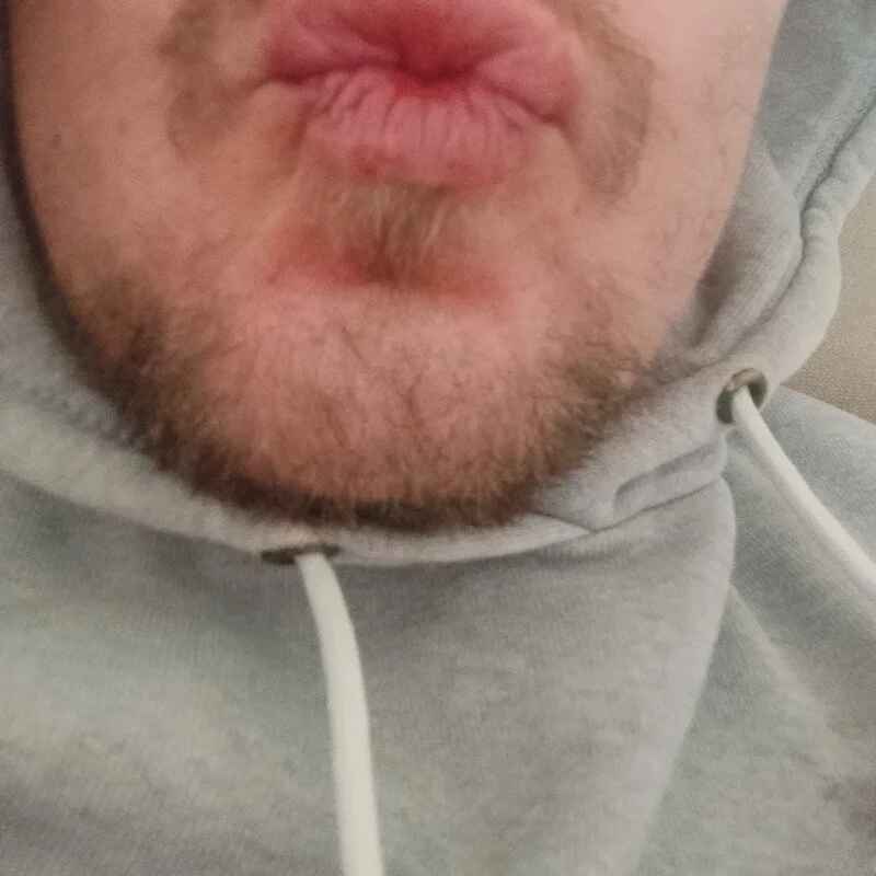 MaineLUzik