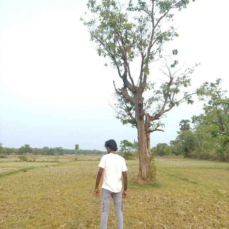 raazbazz