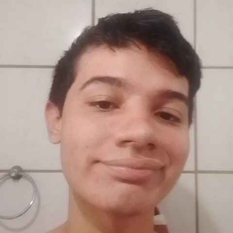 novinho-bundudo