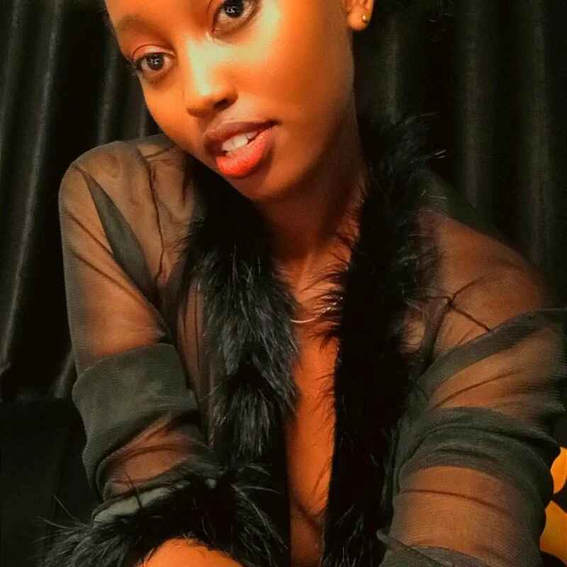 heat_seakerxx