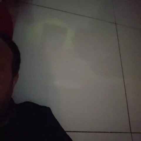 Drva
