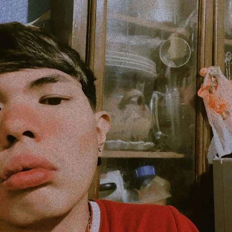 Reneboii
