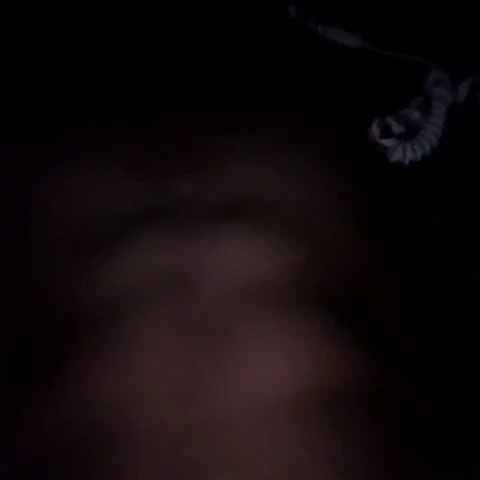SeuDono_