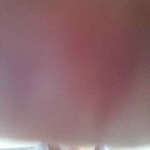 aronplatonico
