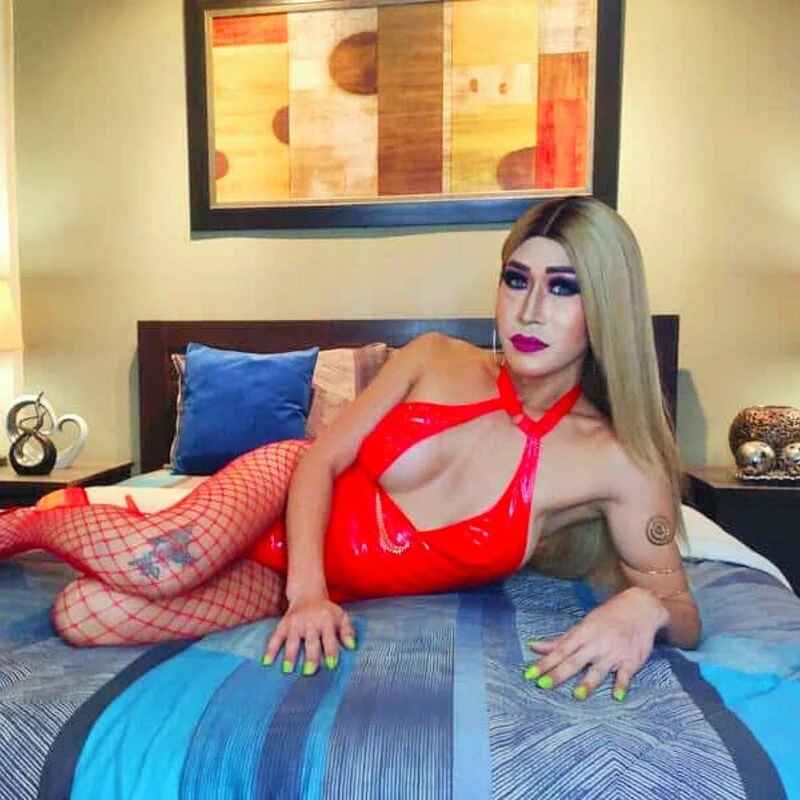 DominateMistressTania