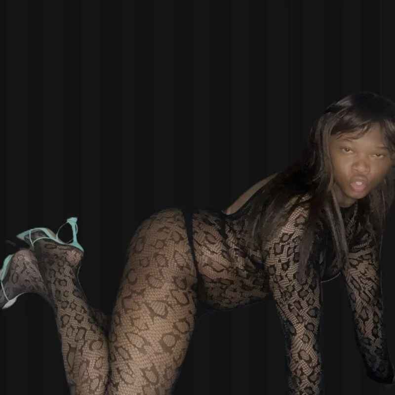 VeronicaDiknormas