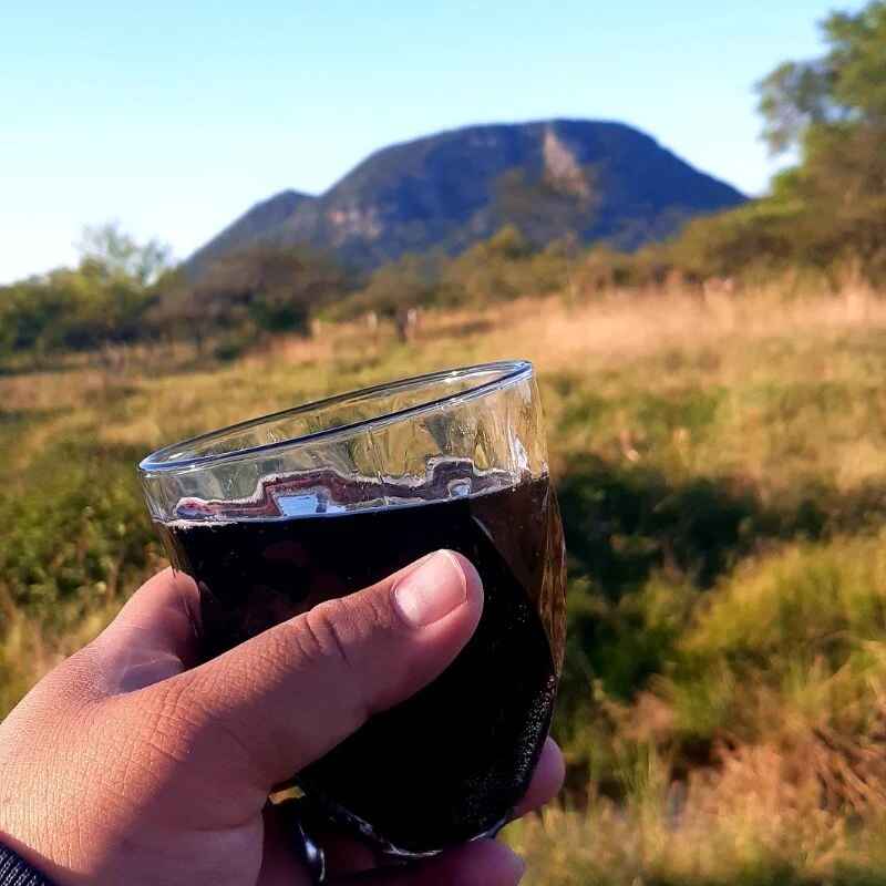 elpitochico1202