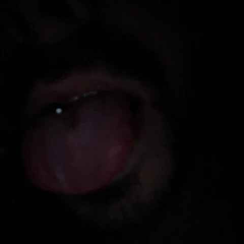 big_mandick3