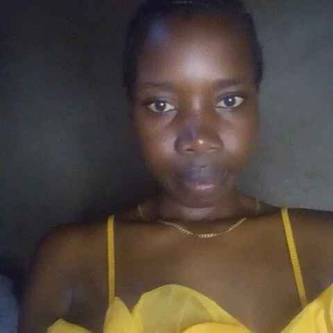Prickly_ebony