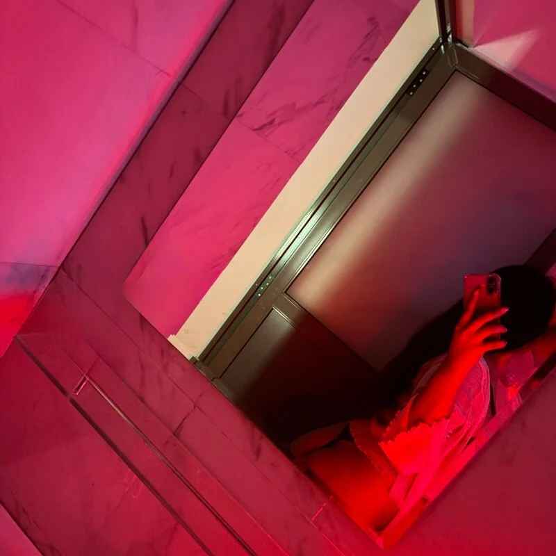 MidnightRose_