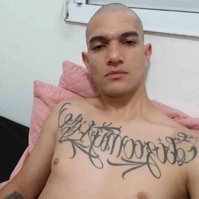 Novinhomostra